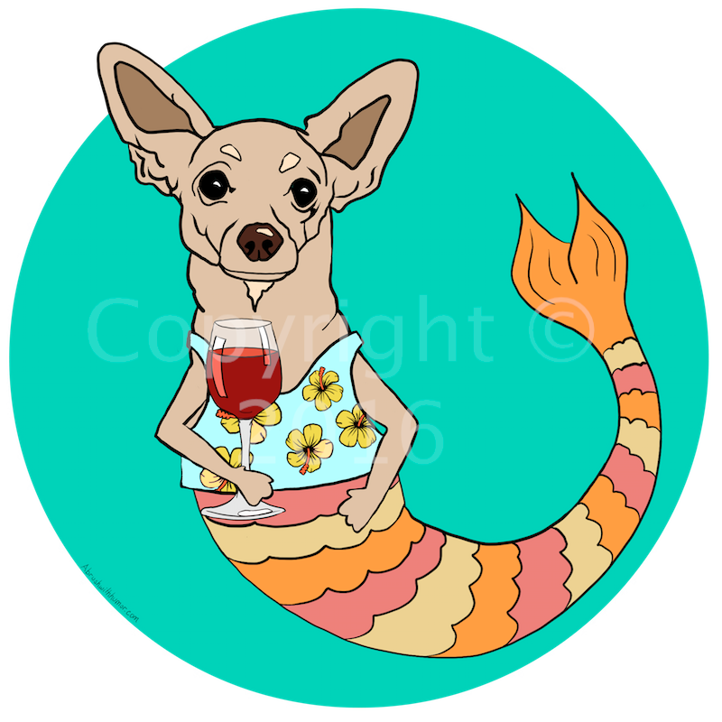 Chester the Chihuahua