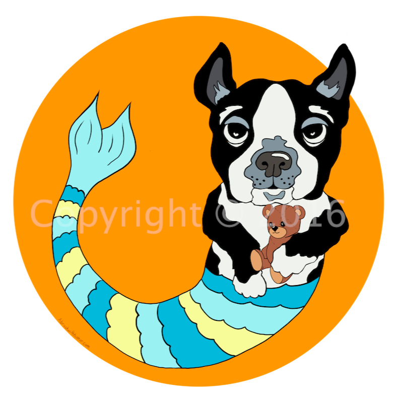 Boo the Boston Terrier